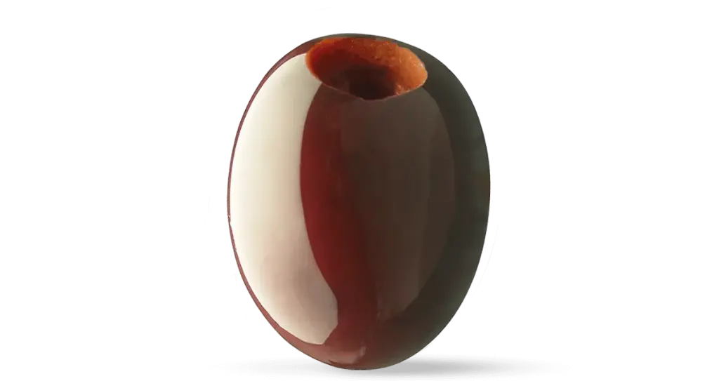 MadameOliva_OlivaLeccinoDenCondite_3-1-1.webp