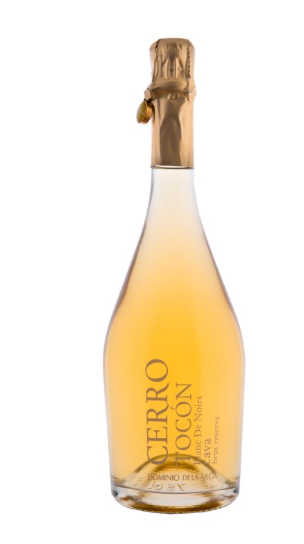 Dominio de la Vega Cava Cerro Tocon Reserva Brut 75cl
