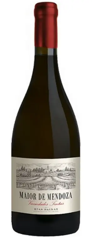 Maior de Mendoza Variedades Tintas DO Rías Baixas 75